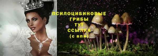МДМА Арсеньев